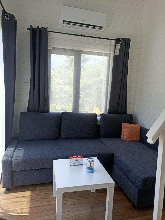 Willa Lemon Tiny House *