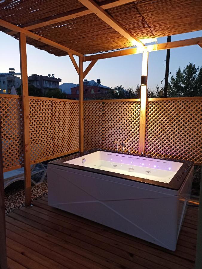 Lemon Tiny House Willa *