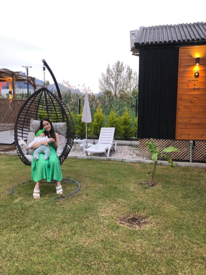 Willa Lemon Tiny House Antalya