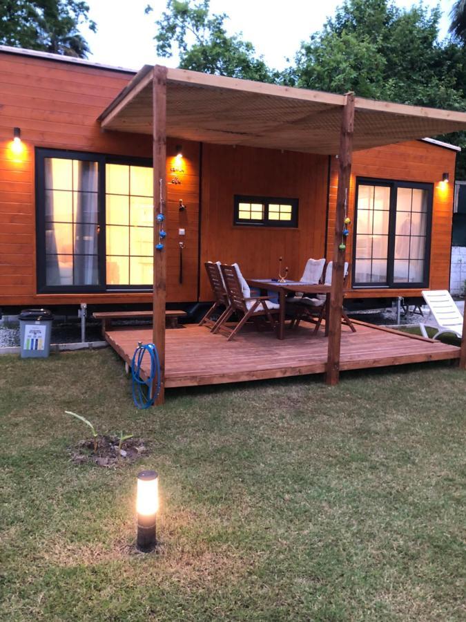 Lemon Tiny House Willa
