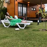 Lemon Tiny House
